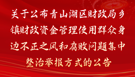 關于公布青山湖區財政局鄉鎮財政資金管理使用群眾身邊不正之風和腐敗問題集中整治舉報方式的公告